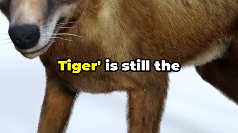 Top 5 Animals Thought to Be Extinct But Found Alive! 🐾