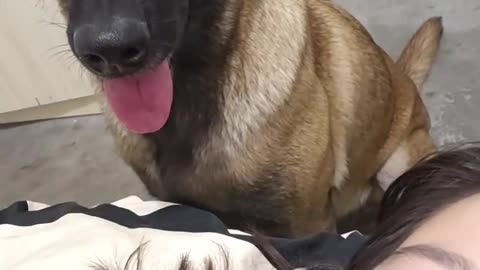 How to not feed your dog