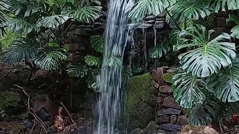 Beautiful waterfall found on a hike along the trail!