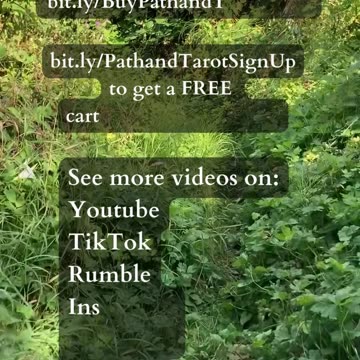 Wealth Balance | Path and Tarot Reading