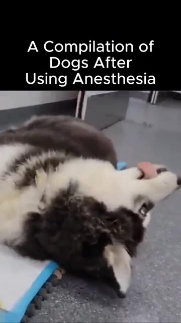 "And I think it's gonna be a long, long time, till touchdown brings me 'round again.."