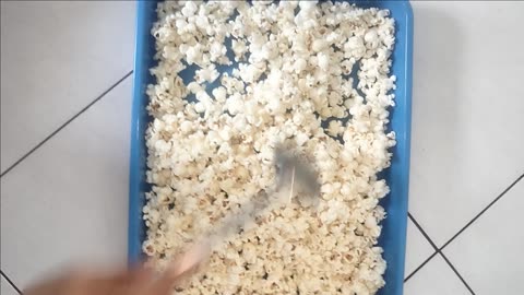 DEPROYAL POPCORN