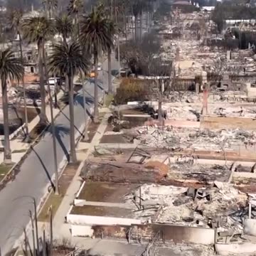 Die Bäume scheinen überlebt zu haben 🤔