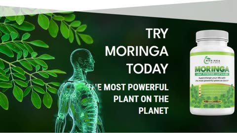 Warning! IS THE MORINGA TREE THE MOST POWERFUL PLANT ON THE PLANET?