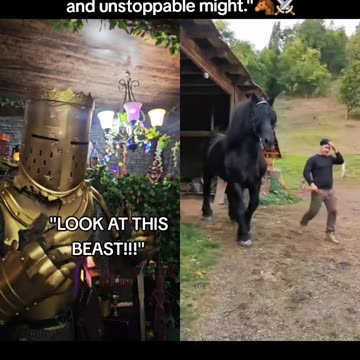 War horse 🐎🏇🐴🏇🏇