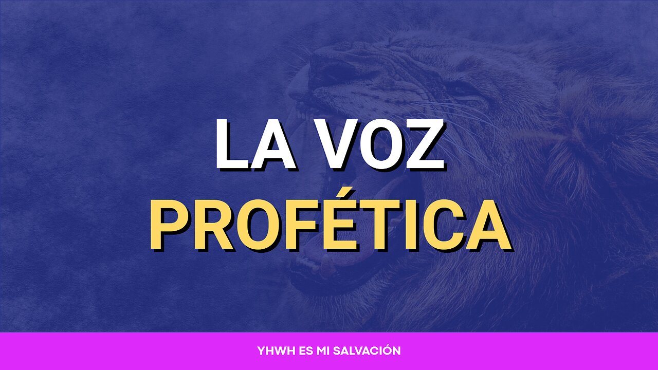 📖 La voz profética | Marcos 1:1-8