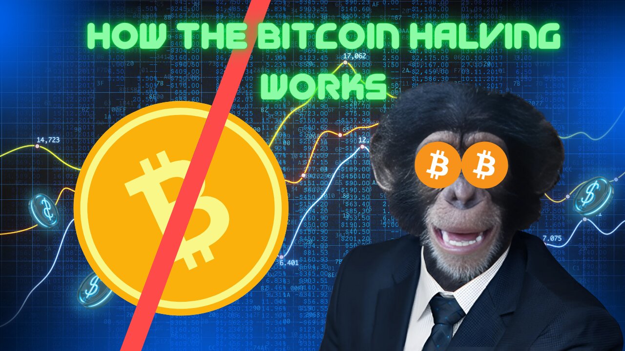 The 2024 Bitcoin Halving