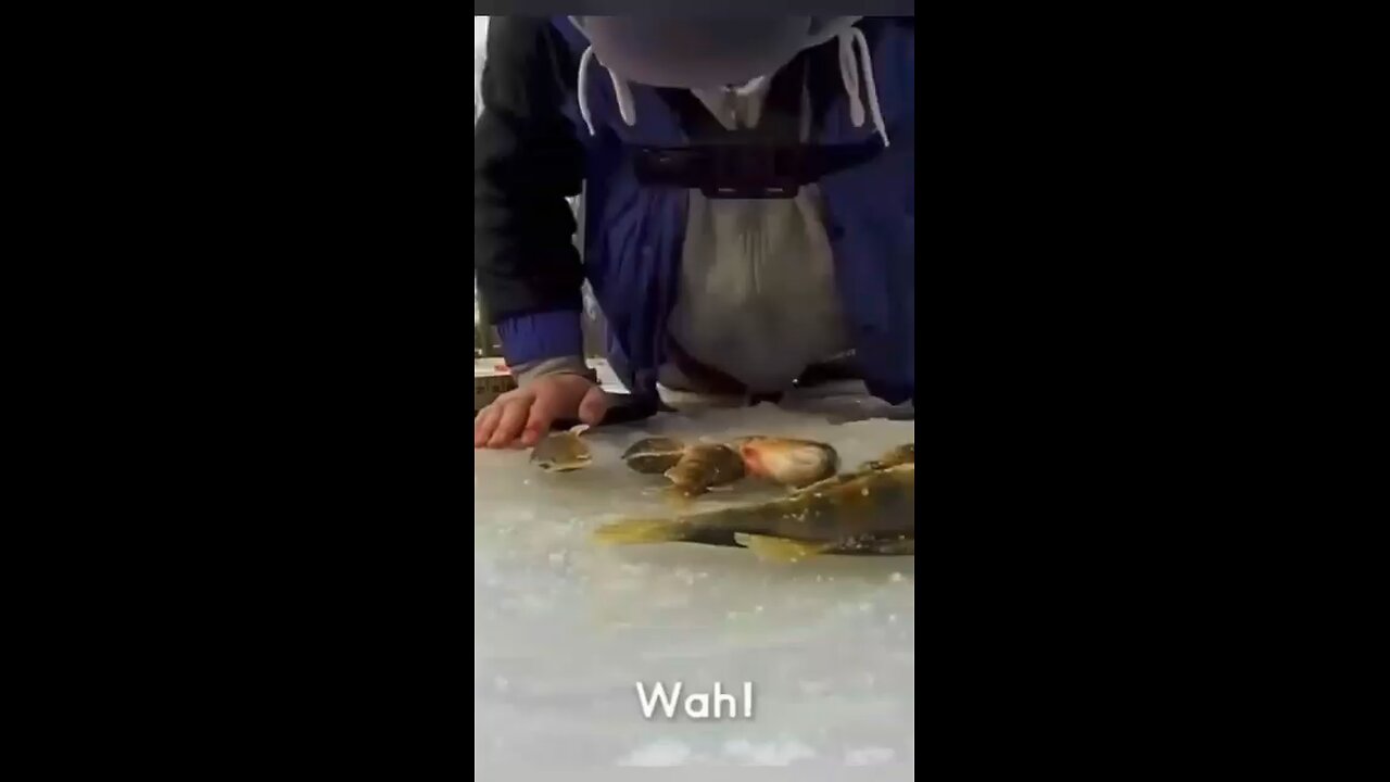 very funny video