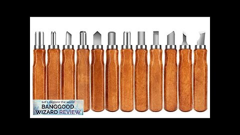 SK2 Carbon Steel 12-Piece Wood Carving Knife Set with Ergonomic Handles Ideal Review