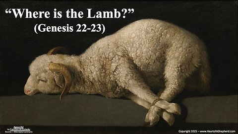 “Where is the Lamb?” (Genesis 22-23) – A daily Bible study from www.HeartofAShepherd.com.