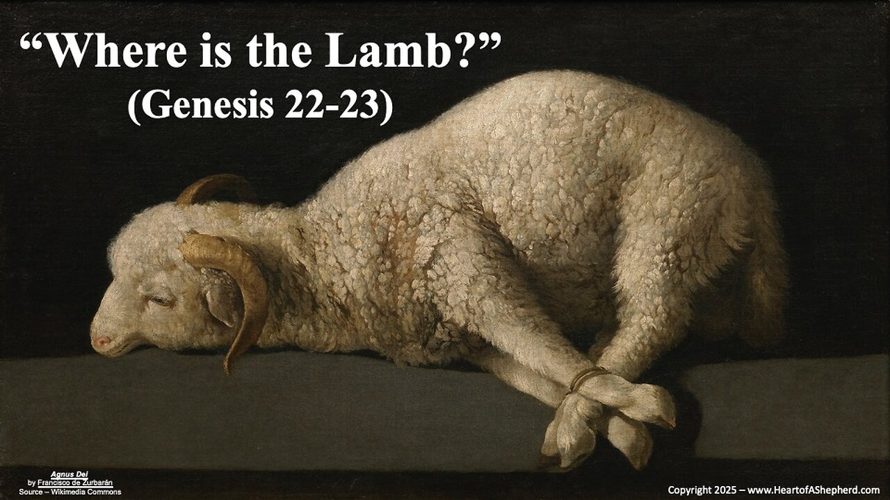 “Where is the Lamb?” (Genesis 22-23) – A daily Bible study from www.HeartofAShepherd.com.