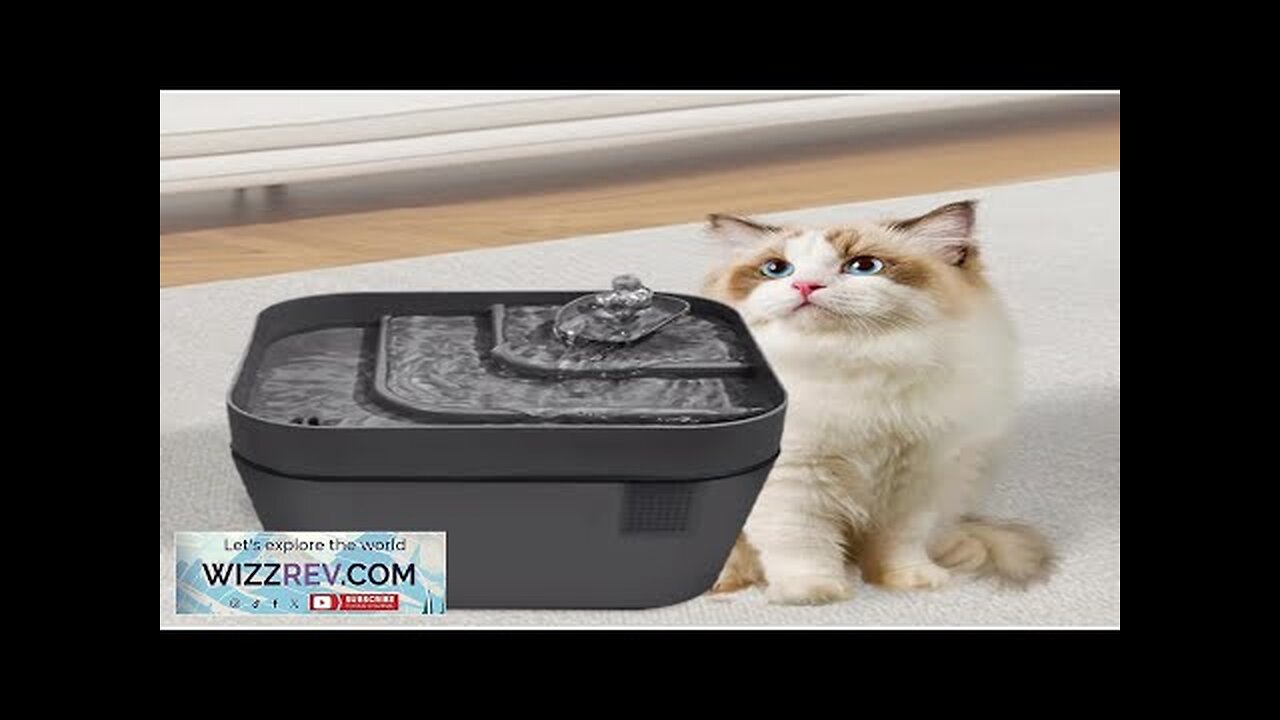 Automatic Waterer Dispenser & Watering Supplies Drinkers For Cats Pet Accessories Feeding Review