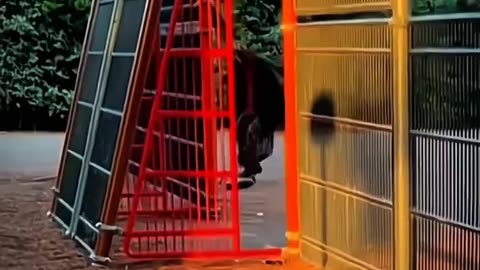 Super grandmother 😎💪