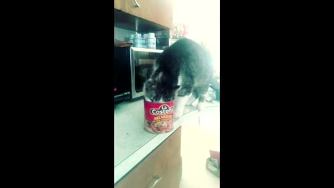 A collection of sounds