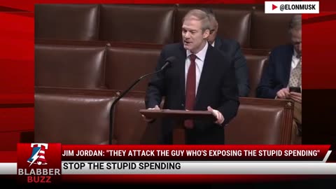 Jim Jordan: "They Attack The Guy Who's Exposing The Stupid Spending"