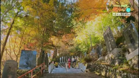 ふらっとあの街 旅ラン10キロ 「紅葉ラン 東京 御岳山」