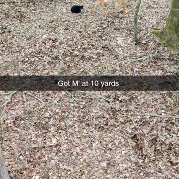 Financial Millennial - Gerald Ruins The Hunt