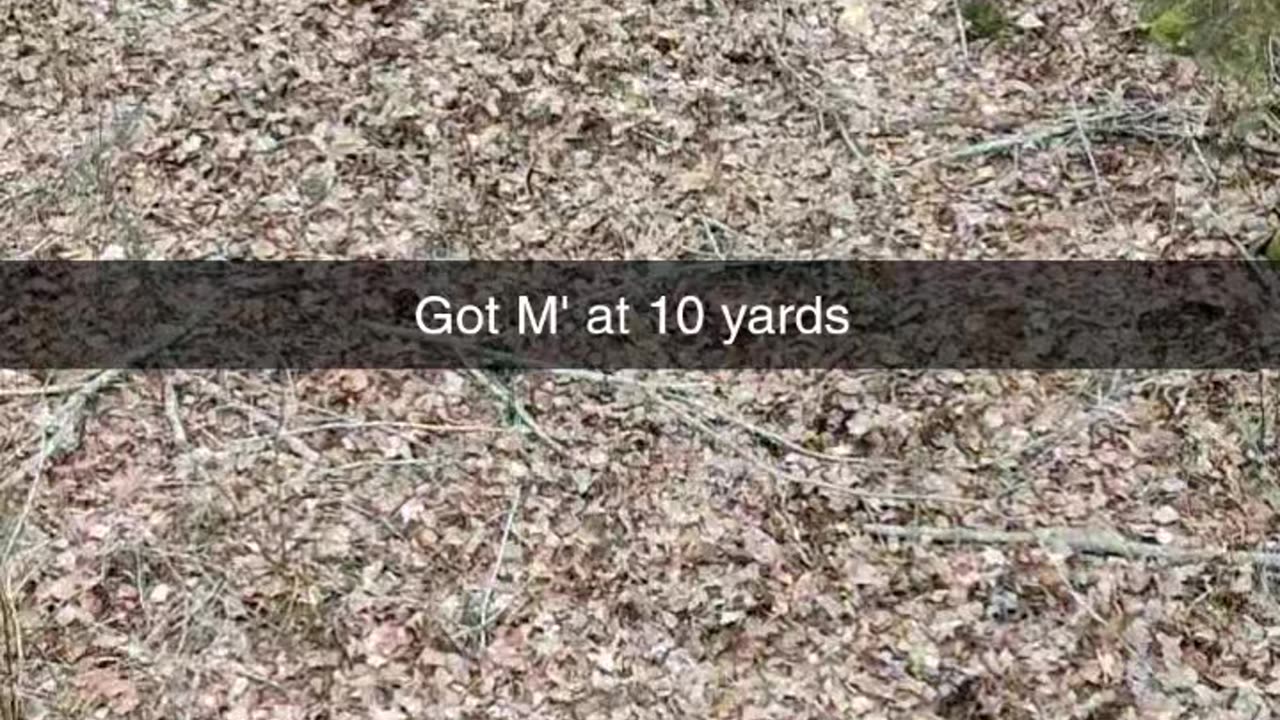 Financial Millennial - Gerald Ruins The Hunt