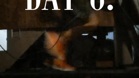 day 8.