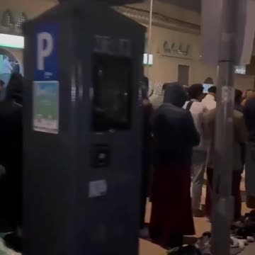 Terrassa, Spain. Isn't this an invasion?