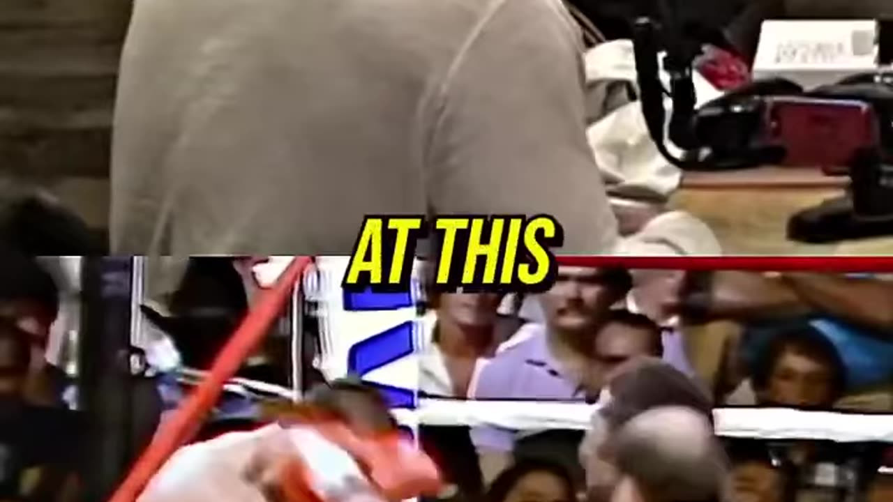 Joe rogan speaks on boxer on drugs