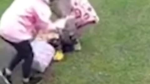Funny Cute Fail Animal Epic Fail 7