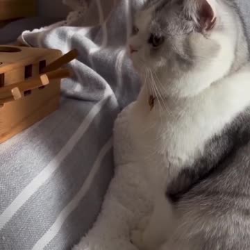 When you teach him something, he goes to bed😂😂