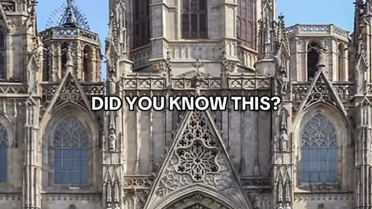 Everything is Frequency