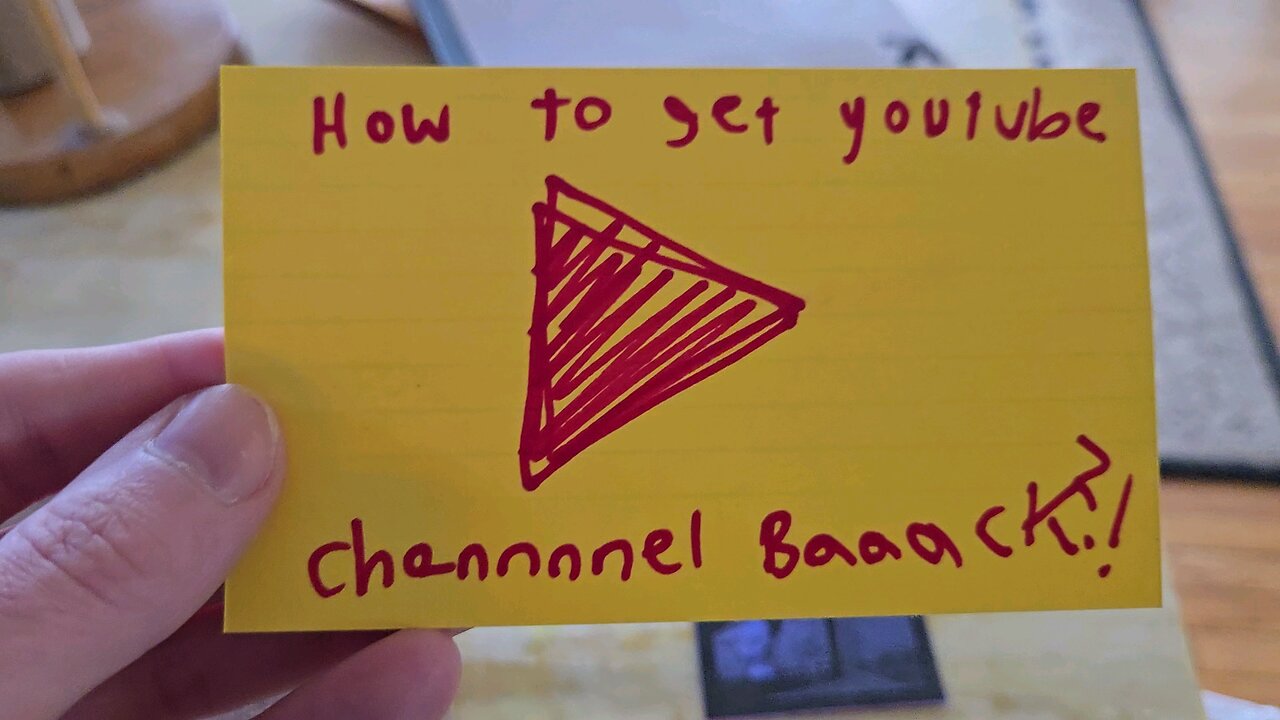 Youtube Banned All My Programming Channels , my plan to get them back