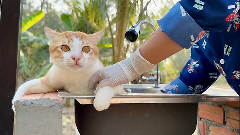 Morning Cold 🥶- So cute Face, Tony Take A bath 🛁 In the morning