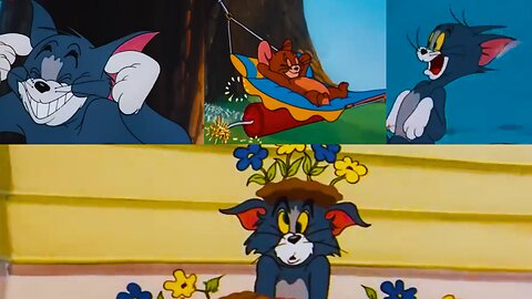 Pranks Galore with Tom & Jerry | Classic Cat and Mouse Cartoon Fun 🐱🐭