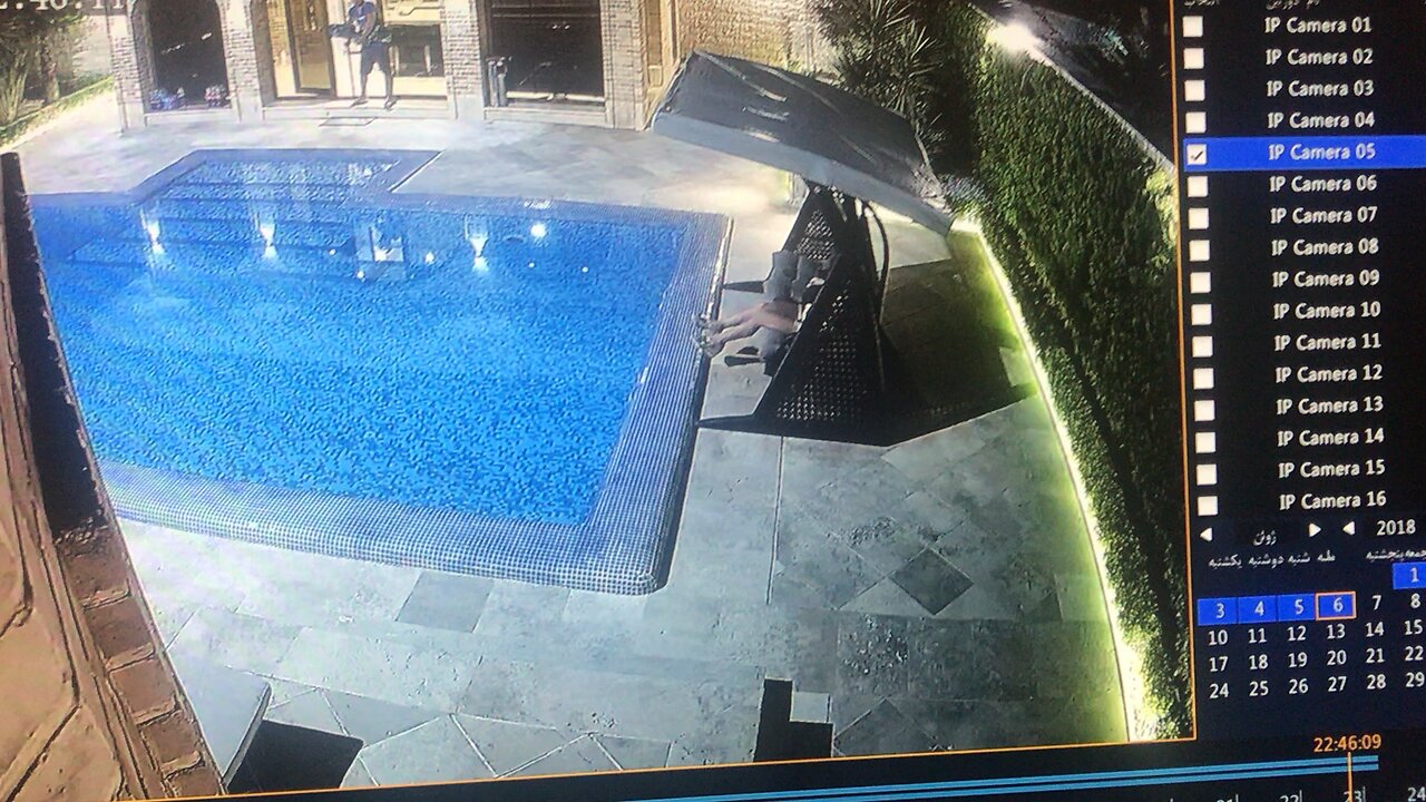 Kitty and pool