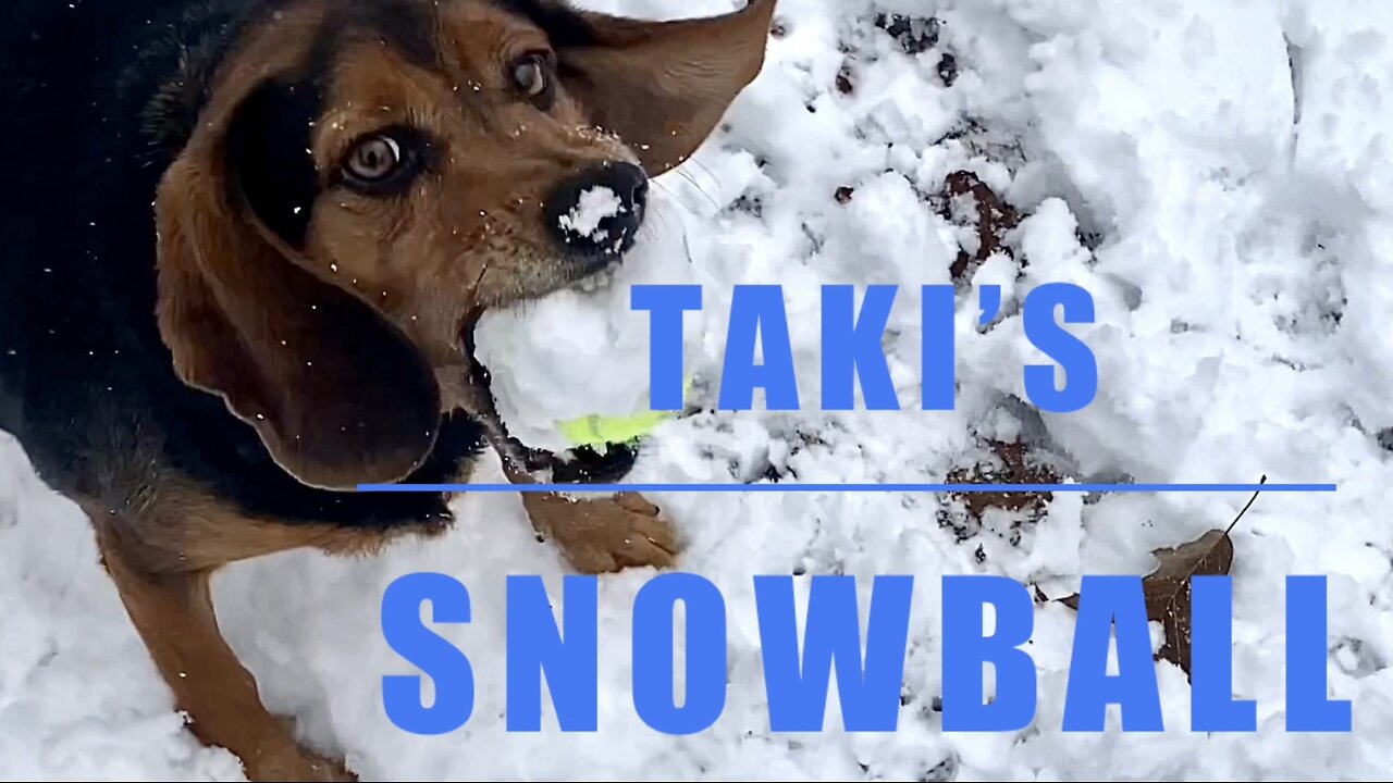 Taki’s Snowball