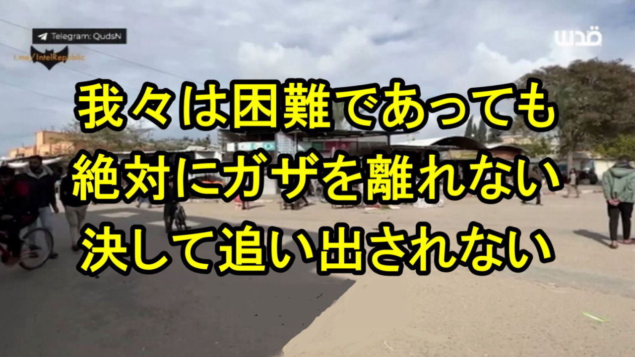 ガザの住民：「オリーブとイチジクの木が育つ限り我々は残る」