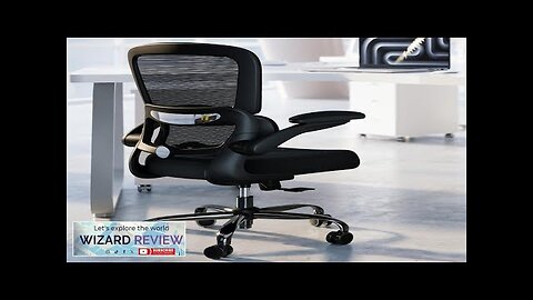 Office Chair Ergonomic Desk Chair with Adjustable Lumbar Support Mesh Computer Review