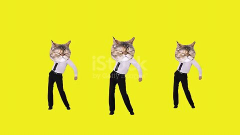 dancing cat