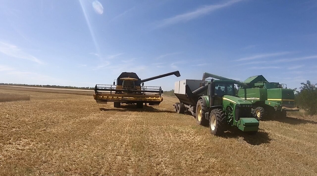 Epic harvest of everything that was in the farm | Harvest John Deere and New Holland ‼️
