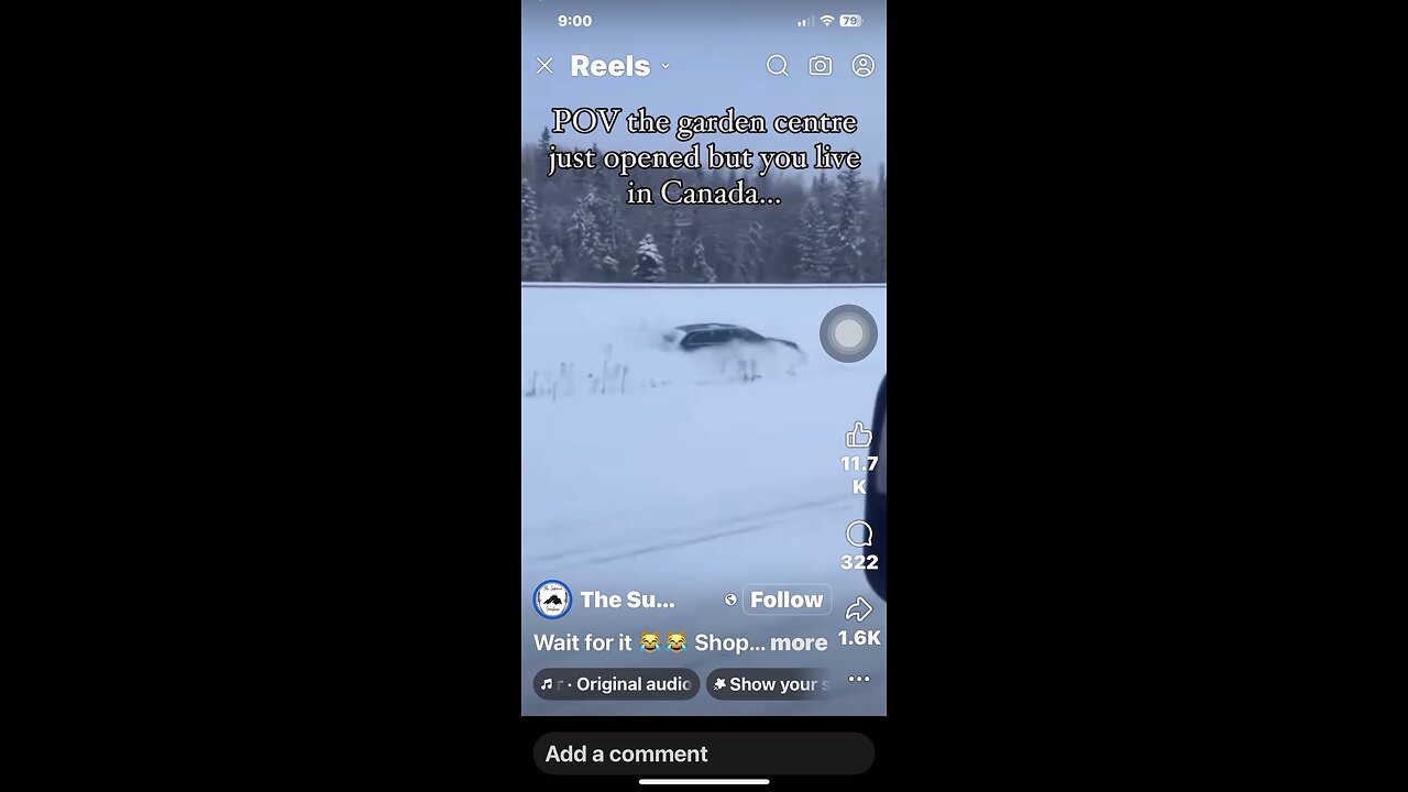 Crazy Canadian