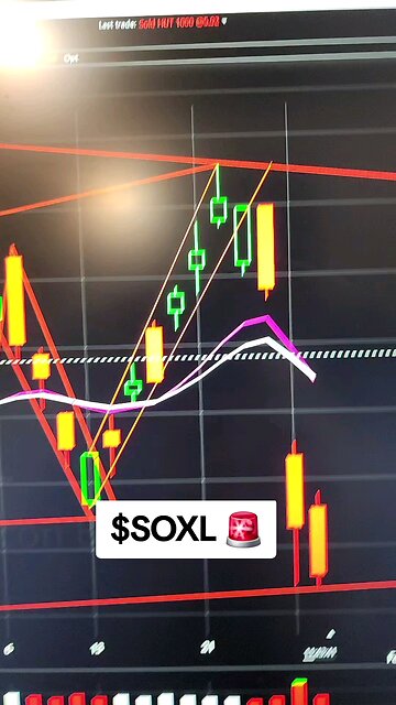 $SOXL 🚨