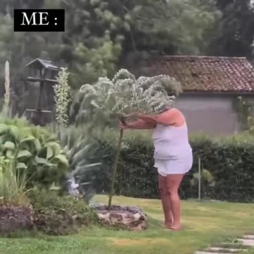 For the love of a plant