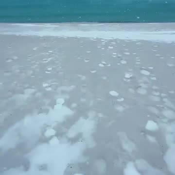 Mexican Gulf no more: Trump renames it the ‘American Gulf,’ and even the weather changed! 😂