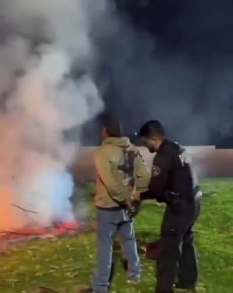 An unhoused man was arrested for arson after starting a fire in a park in LA