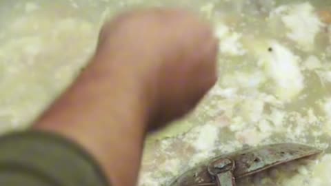 Cooking_Fish_Soup_with_a_Burning_Log!_Giant_Fish_Head_Recipe!_🐟🍲