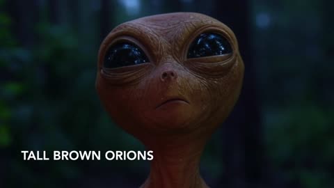 Extraterrestrial Races & Multidimensional Beings (By Grok) from the Pete Slattery Contacts