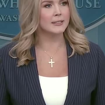 White House Calls Out Democrats Who Want To Impeach 'President Musk'