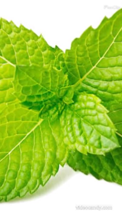 Pachan Thik Rakhe Aur Gais Bhage Pudena