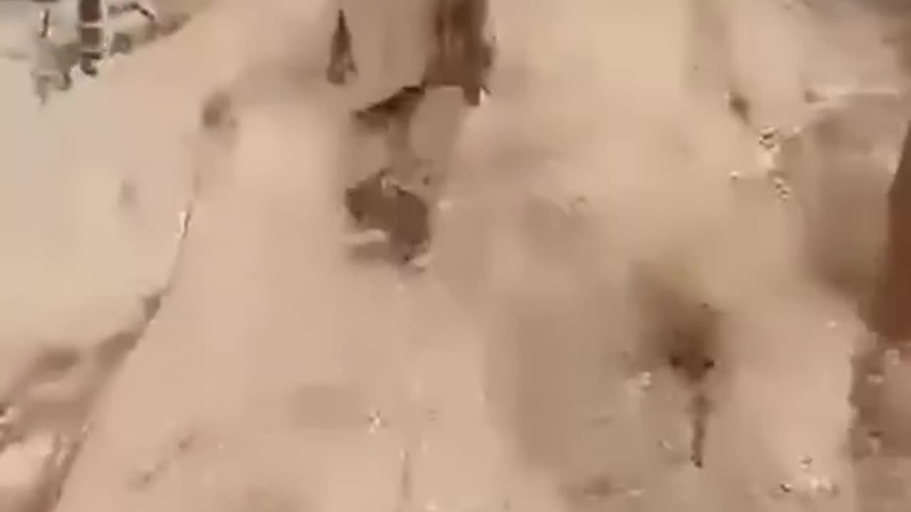 A cat by any other name is still a cat