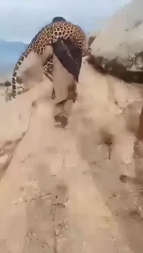 A cat by any other name is still a cat