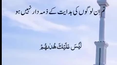 Beshak 💯♥️✨🕊️