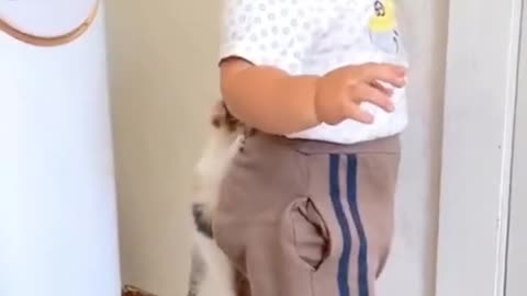 Cute baby & cat